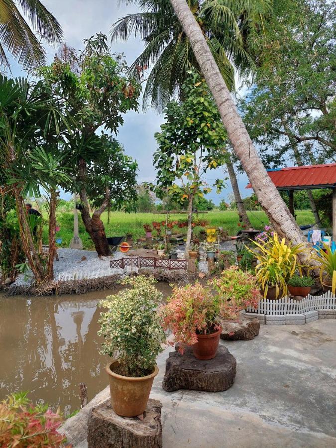Pink Homestay D'Perlis Kangar Exterior foto